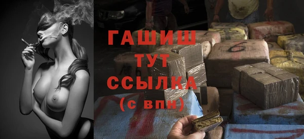 прущие грибы Балахна