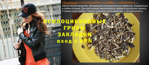 прущие грибы Балахна