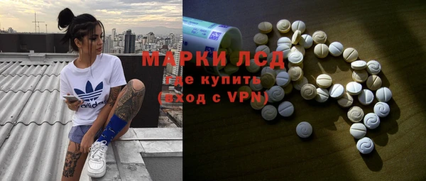 прущие грибы Балахна
