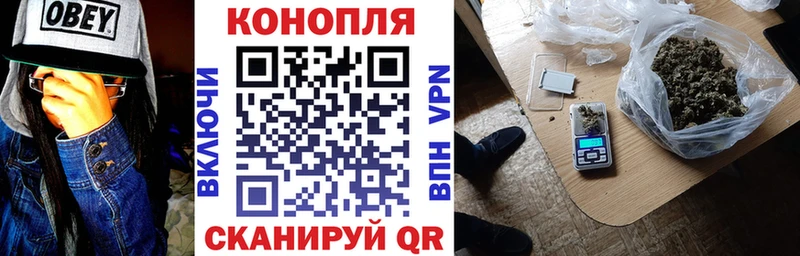 где купить наркоту  Ижевск  нарко площадка состав  Бошки марихуана гибрид 
